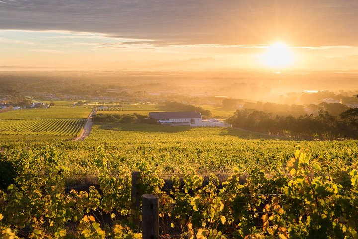 Cape Town Sights & Bites - Private Tour  - Photo 1 of 8